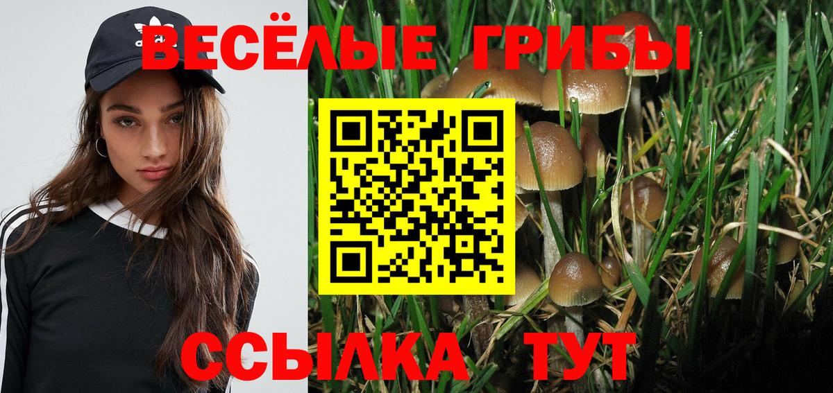 Галлюциногенные грибы Psilocybine cubensis Кумертау