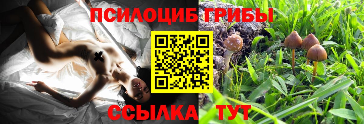 даркнет сайт  Вход с VPN  Галлюциногенные грибы Cubensis  Кумертау  Галлюциногенные грибы мухоморы 